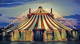 Timeline: Historia de los circos