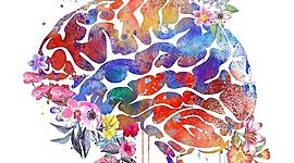 Timeline: Enfoques De la Psicología