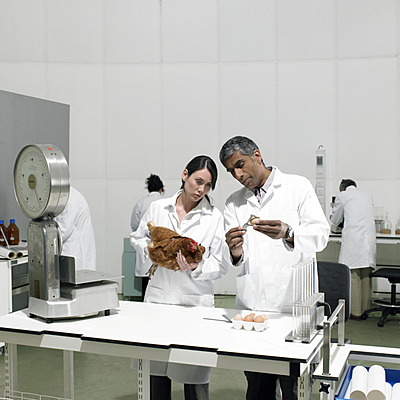 Timeline: Projecte L'home i la dona a la ciència