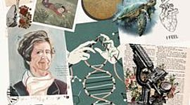 Timeline: P.1 L'home i la dona a la ciencia