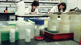 Timeline: P1 l'home i la dona a la ciencia