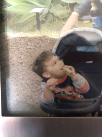 I Learned To Talk: Jean Piaget's Theory