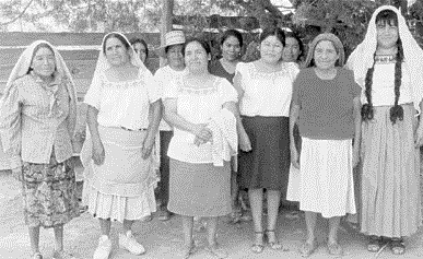 La licenciatura en Enfermería y Obstetricia. ENEO-UNAM