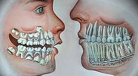 Timeline: Desarrollo de la Dentición