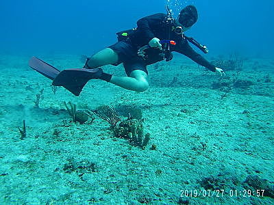Scuba diving at 25 metters