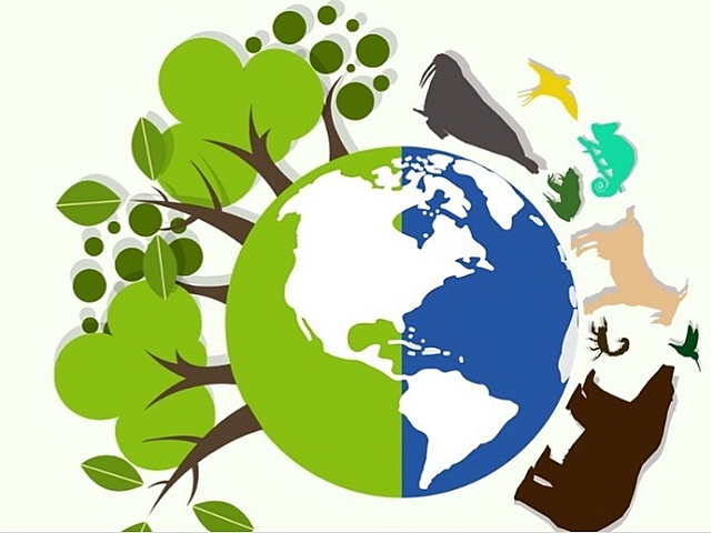 May 22, 1992 Día Internacional de la Diversidad Biológica