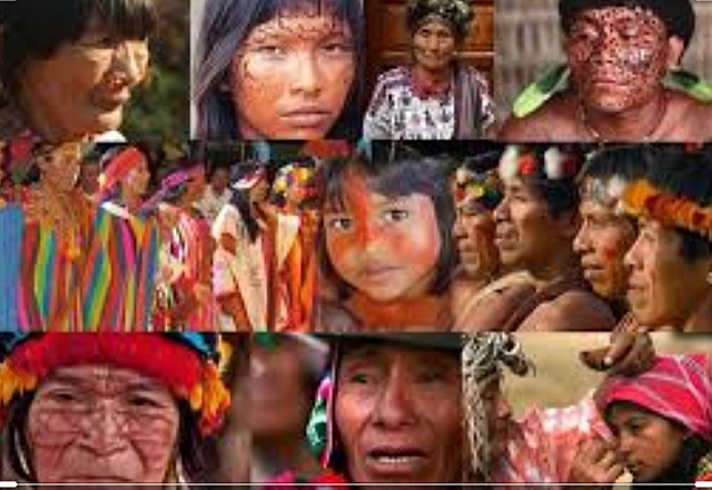 1991 reconocimientos y protección de la diversidad étnica