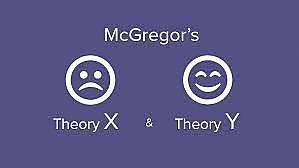 Theory Y
