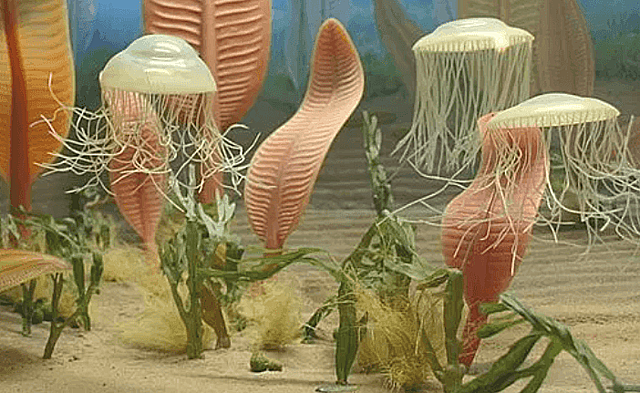 Proterosoikum e agueoon