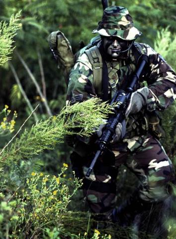 AR-15 first used in Vietnam by U.S. Special Forces