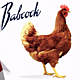Babacock 1