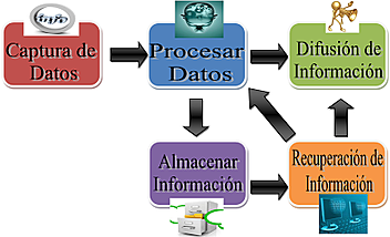 Management information system
