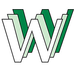 World Wide Web goes public