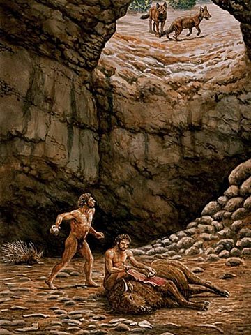 Homo neandertalensis. Paleolítico Inferior