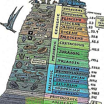 Timeline: Geokronoloogiline skaala Kaili Hansen G2R1