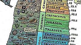 Timeline: Geokronoloogiline skaala Kaili Hansen G2R1