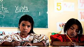 Timeline: La Educación en México