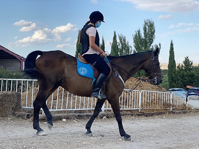 When I started horse riding and went to competitions