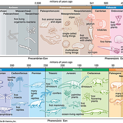Timeline: Geokronoloogiline skaala Anna-Liis Annus G2R1