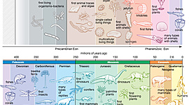 Timeline: Geokronoloogiline skaala Anna-Liis Annus G2R1
