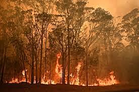 Feu de forêt en Australie (2019-2020)