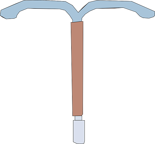 Dispositivo Intrauterino (DIU)