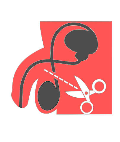 Vasectomia