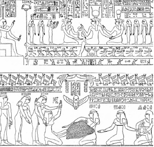 “Casas de parir o Cámaras de  parir”