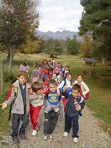 I started the school