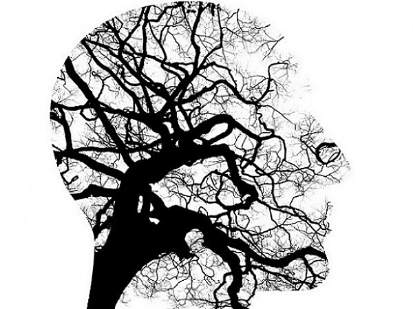 (Psi) Teorías psicodinámicas