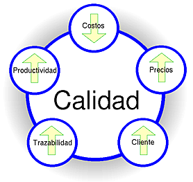 Circulos de calidad