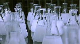 Timeline: Historia de los Biorreactores