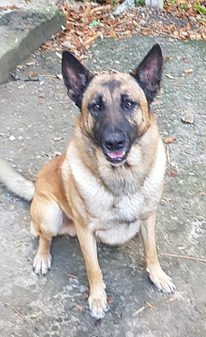 Coordinador Regional GOCAN