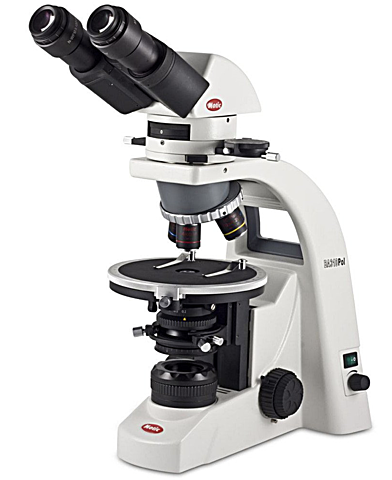 Blood Under a Microscope