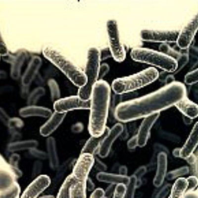 Timeline: Cazadores de Microbios