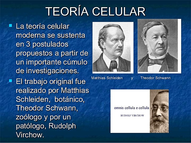 THEODORO SCHWANN Y MATHIAS JAKOB SCHLEIDEN