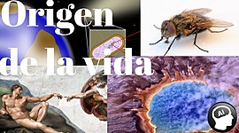 Timeline: Teorías del Origen de la Vida