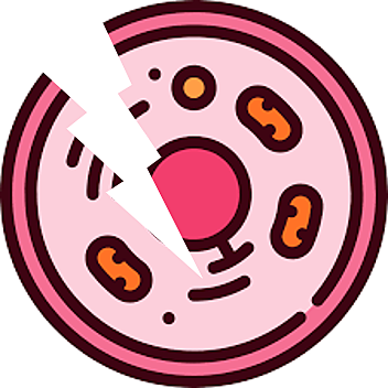 Bioreactores para trabajar cultivos frágiles