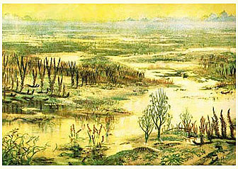 Esimesed maismaataimed