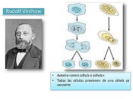 VIRCHOW
