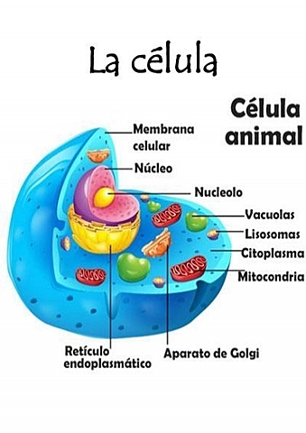 FINALES DEL SIGLO XIX