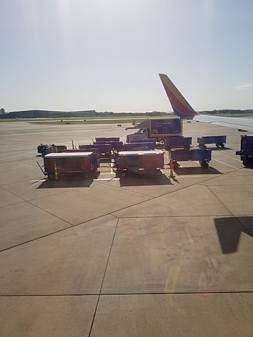 Timeline Infographic Final | Timetoast timelines