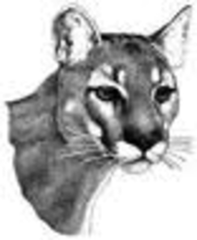 Let my schooling begin!