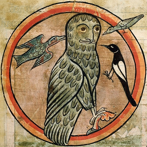 The owl and the nightingale