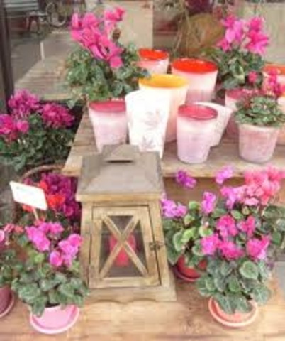 Hired!  My first job, working for Four Seasons Florist.