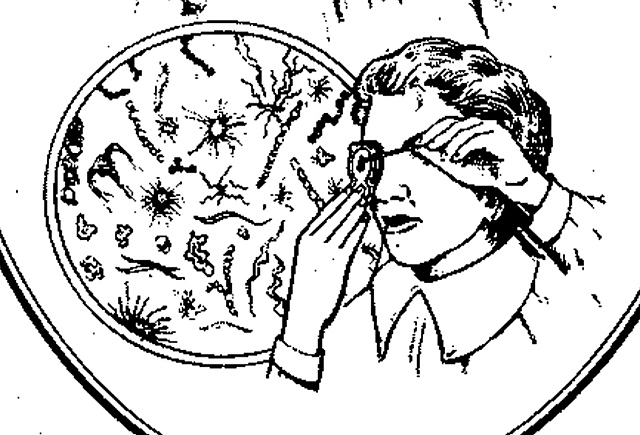 Fallecimiento de Van Leeuwenhoek