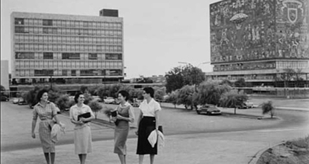 Enfermería universitaria y su impacto