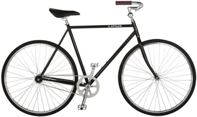 Riding a Bike Without Training Wheels