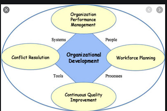 organizational development