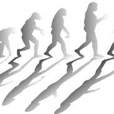 Timeline: Evolución